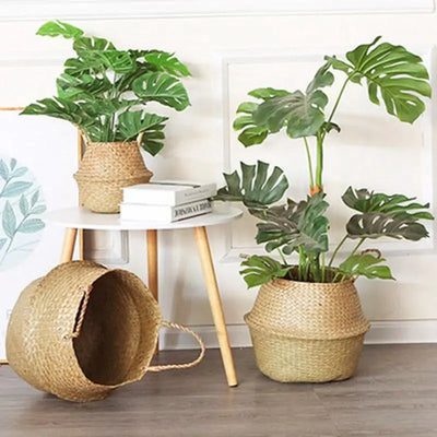 Seagrass Hanging Planter Basket - KENDRI SHOP