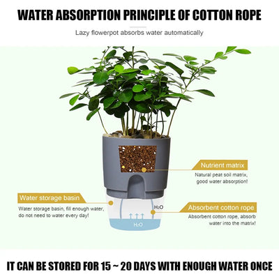 Handmade 2 Layer Self Watering Planter - KENDRI SHOP