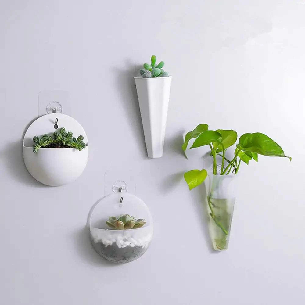 Hanging Flower potHanging Flower potHanging Flower pot