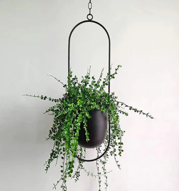 Decorative Hanging Planter - KENDRI SHOP
