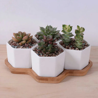 Beehive Planter - KENDRI SHOP
