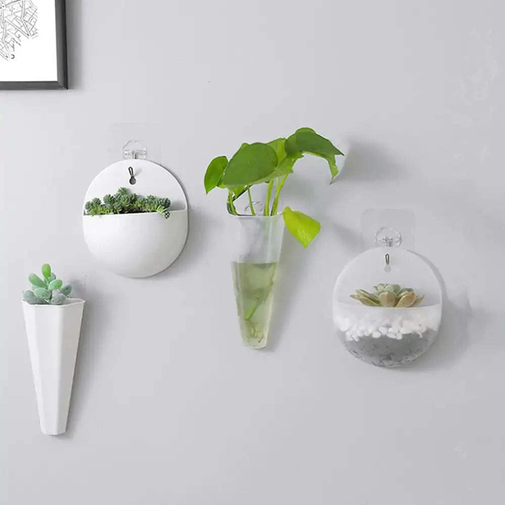 Hanging Flower potHanging Flower potHanging Flower pot