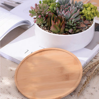 Succulent Planter - Round - KENDRI SHOP