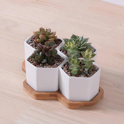 Beehive Planter - KENDRI SHOP