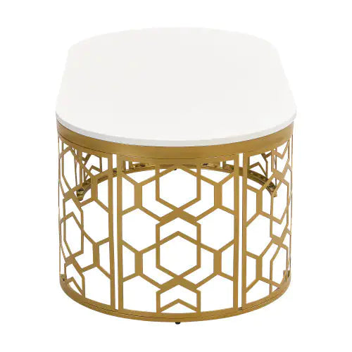 Oval Shaped Coffee Table - KENDRI SHOP
