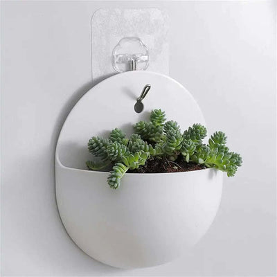 Hanging Flower potHanging Flower potHanging Flower pot