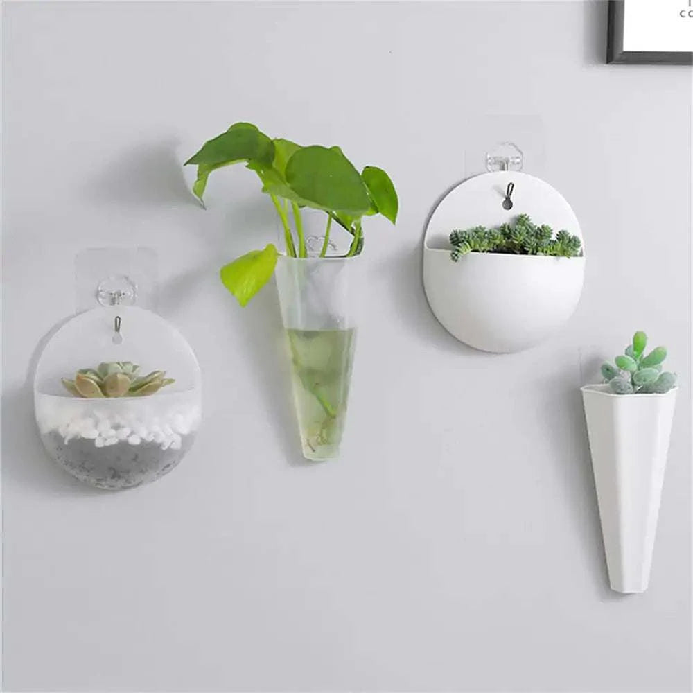 Hanging Flower potHanging Flower potHanging Flower pot
