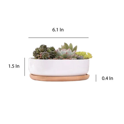 Succulent Planter - Round - KENDRI SHOP