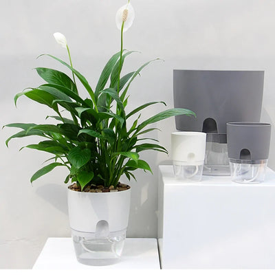 Handmade 2 Layer Self Watering Planter - KENDRI SHOP