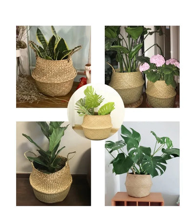 Seagrass Hanging Planter Basket - KENDRI SHOP