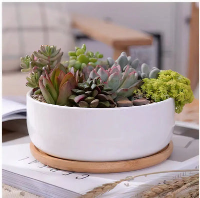 Succulent Planter - Round - KENDRI SHOP